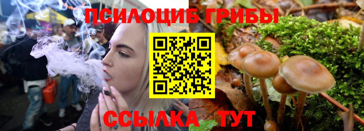 Галлюциногенные грибы Magic Shrooms Надым